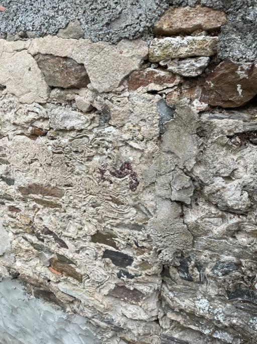 Maisonnette De Pecheur L'Aubraie Eksteriør bilde
